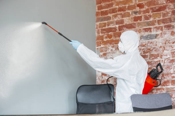 Best Indoor Air Quality Assessment  in Hanover, IN