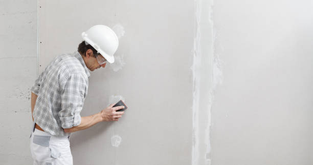 Best Commercial Mold Inspection  in Hanover, IN