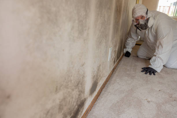 Best Comprehensive Air Testing for Mold Contaminants  in Hanover, IN